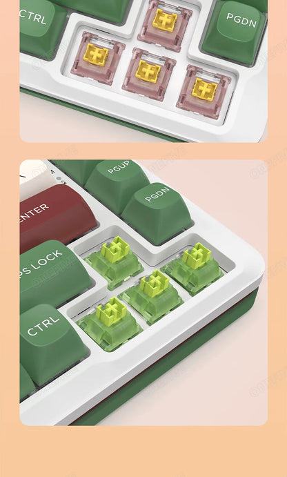 Outemu silent V3 mechanical keyboard switches, pre-lubed, 5-pin